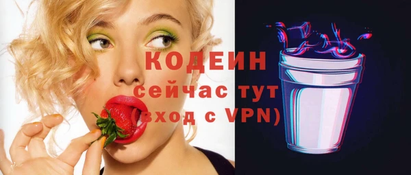 твердый Тайга