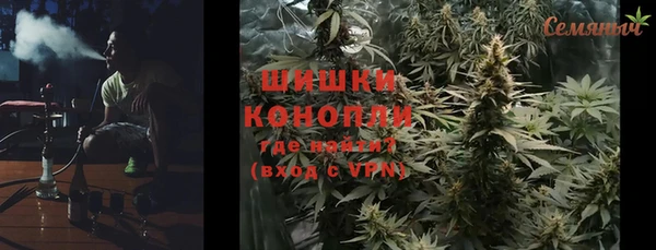 трава Тавда