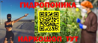 прущие грибы Азнакаево
