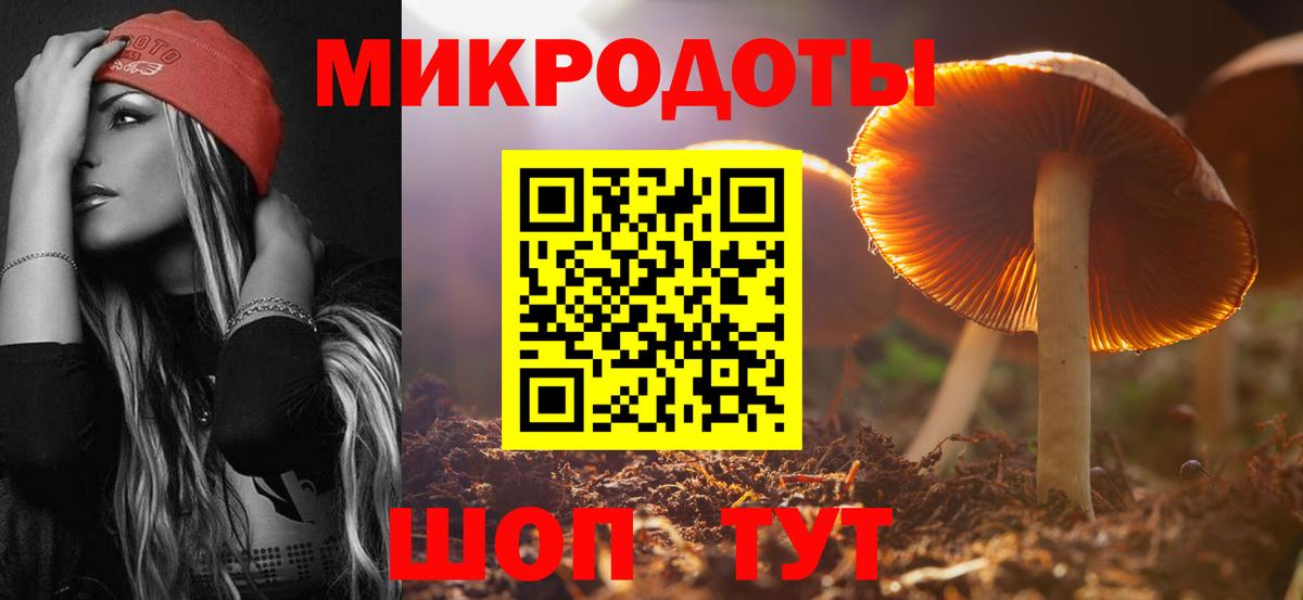 Галлюциногенные грибы Psilocybe  Вход с VPN  что такое   Галлюциногенные грибы мицелий  Заречный 